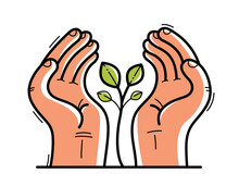 Two Hands With Small Plant Protecting And Showing Care Vector Flat Style Illustration Isolated On White, Cherish And Defense For Environment Concept, Botanical Life Protection.