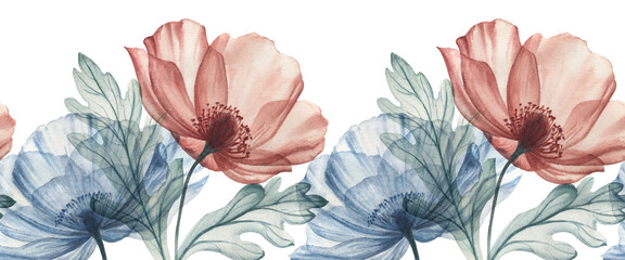 Wall Mural - Watercolor  floral illustration, dusty red and blue flowers with transparent petals, seamless border. Hand drawn watercolor illustration on a white background 