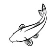 The symbol of river mirror carp 