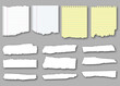 Torn Realistic Notebook Pages. Ripped Sheets of Paper. Vector Illustration.