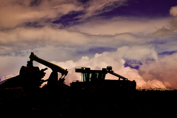 Wall Mural - Logging Timber Harvesting 