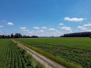 Poster - A beautiful view of fields in a daylight