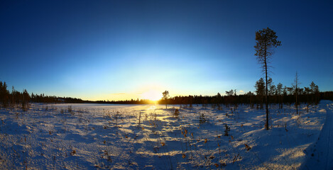 Wall Mural - Backlit panorama of winter landscape in Swedish Lapland