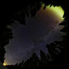 Wall Mural - diagonal wide angle upward shot with aurora and dusk