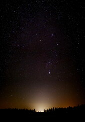 Wall Mural - beautiful bright stars over dusk and forest