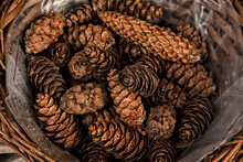 Basket Of Pine Cones