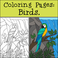 Wall Mural - Coloring page with example. Cute parrot yellow macaw sits and smiles.