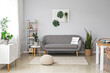canvas print picture - Interior of stylish living room with grey sofa, houseplants and pegboard