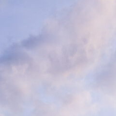 Wall Mural - Background of blue sky with white pink clouds in sunset