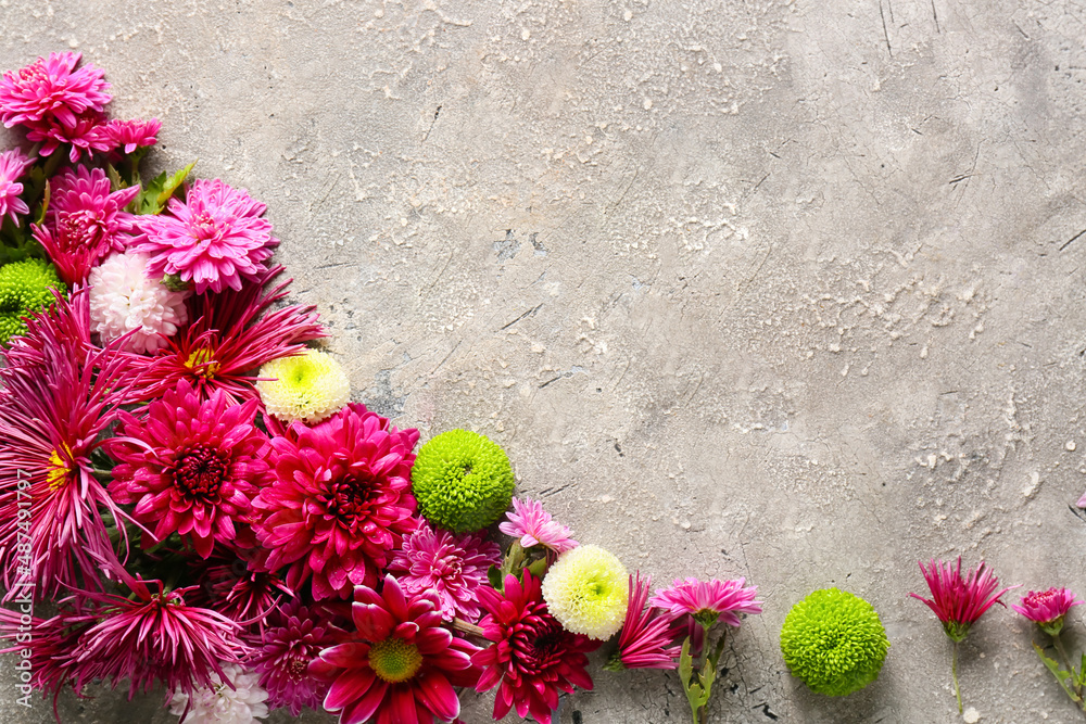Beautiful composition with fresh chrysanthemum flowers on grunge background, closeup