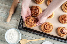 Woman Hands Are Carefully Taking Out Fresh Warm Cinnamon Rolls Buns From A Baking Tray. Concept Of Delicious Homemade Pastry And Cozy Atmosphere