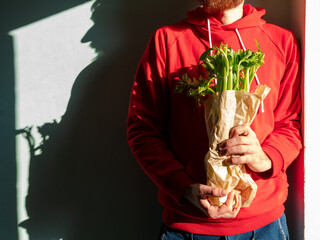 Bearded man in red hoody holds fresh green celery in hand harsh shadow. Vegetable gathering Healthy lifestyle raw greenery vegan food grocery shopping. Nutritionist occupation Farmer garden harvesting