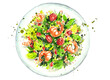 Watercolor salad with shrimps. Food illustration.