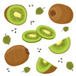 Kiwi set with whole fruits, halves, seeds and leaves. Vector illustration in a flat style.