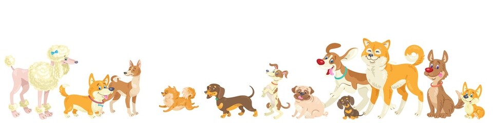 Wall Mural - Group of funny dogs. Banner in cartoon style. Isolated on white background. Vector flat illustration.