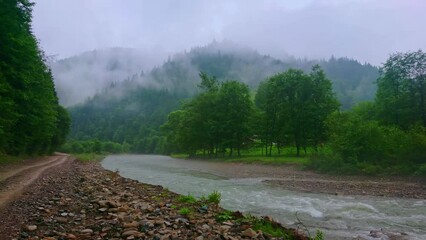 Poster - Foggy panorama of Black Cheremosh River, Dzembronia, Carpathians, Ukraine