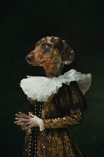 Noble Lady. Female Medieval Royalty Person In Vintage Clothing Headed By Dog Head Isolated On Dark Retro Background. Concept Of Comparison Of Eras, Artwork. Surrealism