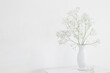 gypsophila in white vase on old wooden shelf on white background