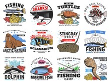 River And Ocean Fishes, Sea Animals Icons Set. Pike, Cichlid And Sterlet, Turtle, Dolphin And Moray Eel, Lionfish, Stingray And Shark, Walrus Retro Vector. Fishing And Travel Tours, Exhibition Badges