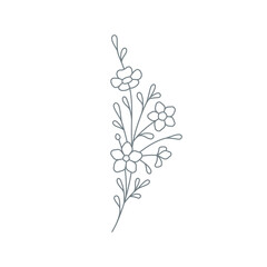 Wall Mural - Beautiful line art logo botanical flower with stem, leaves and petal vector illustration