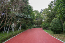 The Red Asphalt Runway In The Park Is Flanked By Trees