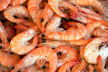 Wall Mural - Prawn background