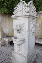 Wall Mural - Stone feline head, carved on a fountain in Erice (Sicily) 