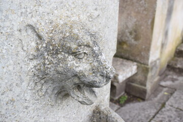 Wall Mural - Stone feline head, carved on a fountain in Erice (Sicily) 