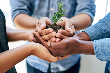 Fototapete - We can either go through it or grow through it. Cropped shot of a team of colleagues holding a plant.