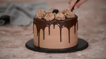 Wall Mural - Pastry chef cuts chocolate cake with knife.