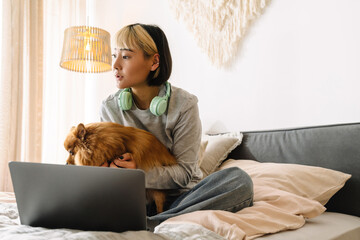 Wall Mural - Asian girl petting her dog while using laptop on bed