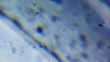 Microscope Magnification Close Up Bacteria Micro Organism Virus Biohazard