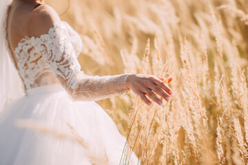 Wall Mural - The bride and groom are walking through a wheat field in summer 4248.