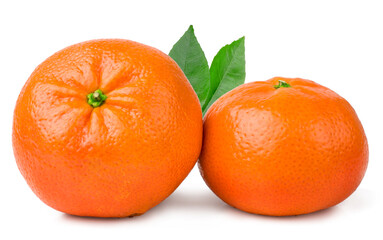 Wall Mural - Tangerines isolated on a white background.