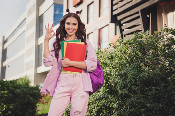 Sticker - Portrait of attractive cheerful wavy-haired girl holding book pastime after classes showing ok-sign ad on fresh air outdoors