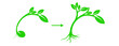 © yasindu - plant growing design vector illustration