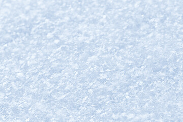 Poster - Snow from snowflakes, macro photo of white snow in winter, snow texture.