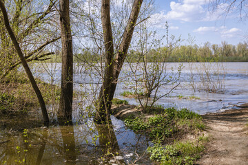 Poster - High water level in the Vistula river after spring downpours, Warsaw city, Poland