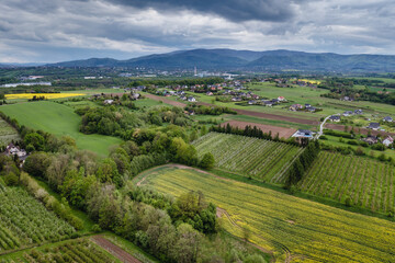 Wall Mural - Drone photo of fields in Miedzyrzecze Gorne, small village in Silesia region in Poland