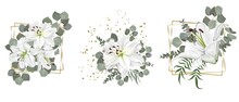 Vector Flower Set For Wedding Design. White Lilies, Eucalyptus, Plants, Leaves, Golden Elements. Flowers On A White Background