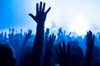 © DWP - crowd of people dancing in concert