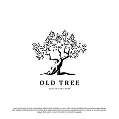 Vintage retro old oak tree logo vector