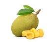 Jackfruit isolated on white background.
