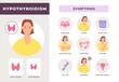 © Tartila - Hypothyroidism disease symptoms infographic with woman character. Underactive thyroid gland. Endocrine system health problem vector poster