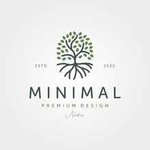 Root Of The Tree Minimal Logo Vector Symbol Illustration Design, Nature Tree Line Art Logo Design