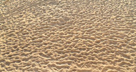 Wall Mural - Fine beach sand in the summer sun