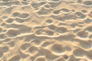 Sticker - Sand texture background. Top view