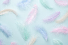 Feathers Multicolored Background In Pastel Colors. Feathers Pattern. Natural Pastel Feathers In Muted Colors. Beautiful Feathers Surface. Feather Wallpaper. Nature Materials Background