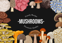 Mushroom Horizontal Banner Collection Colorful Hand Drawn Vector Illustration Set