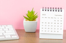 September 2022 Desk Calendar With Plant On Wooden Table.